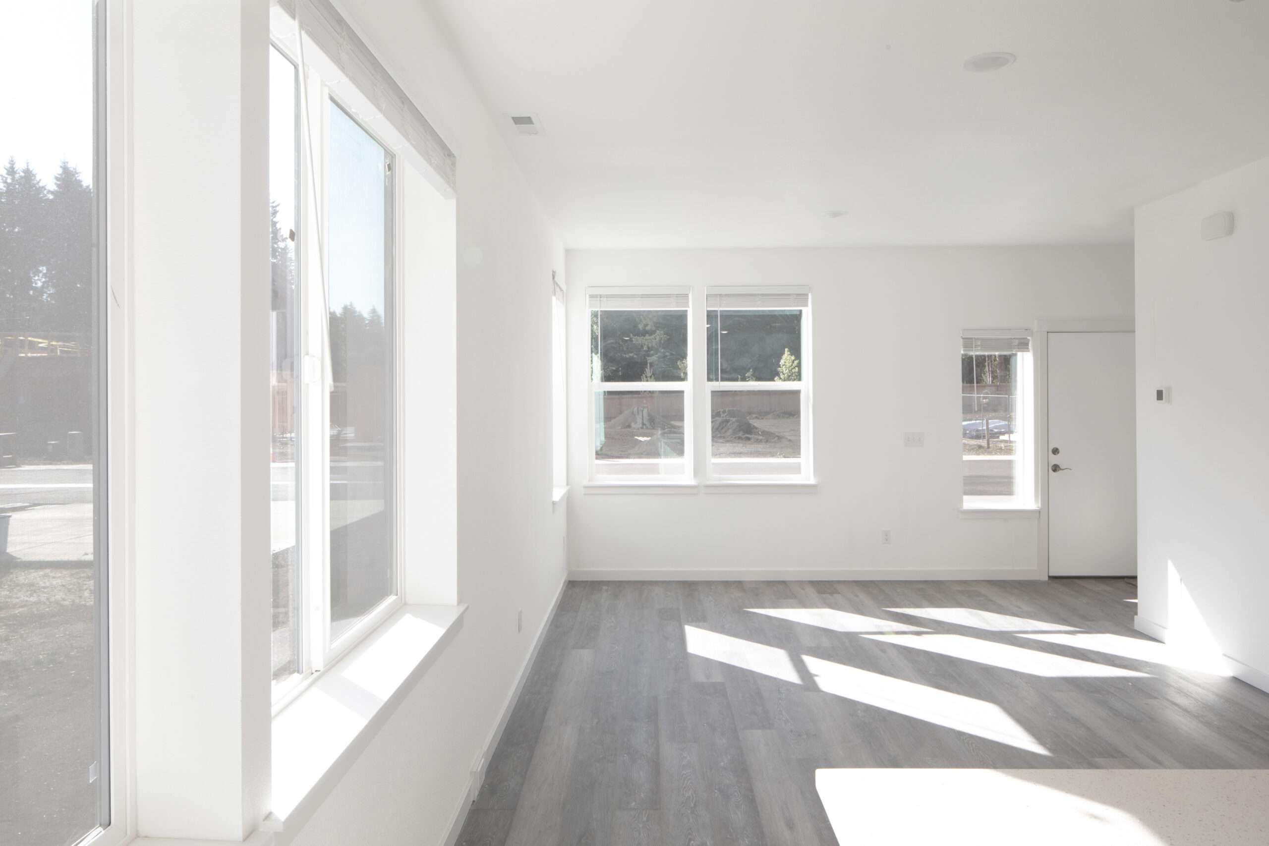 Light filled great room